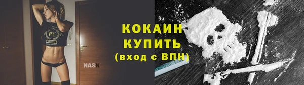 прущая мука Корсаков