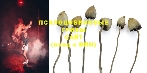 прущая мука Корсаков